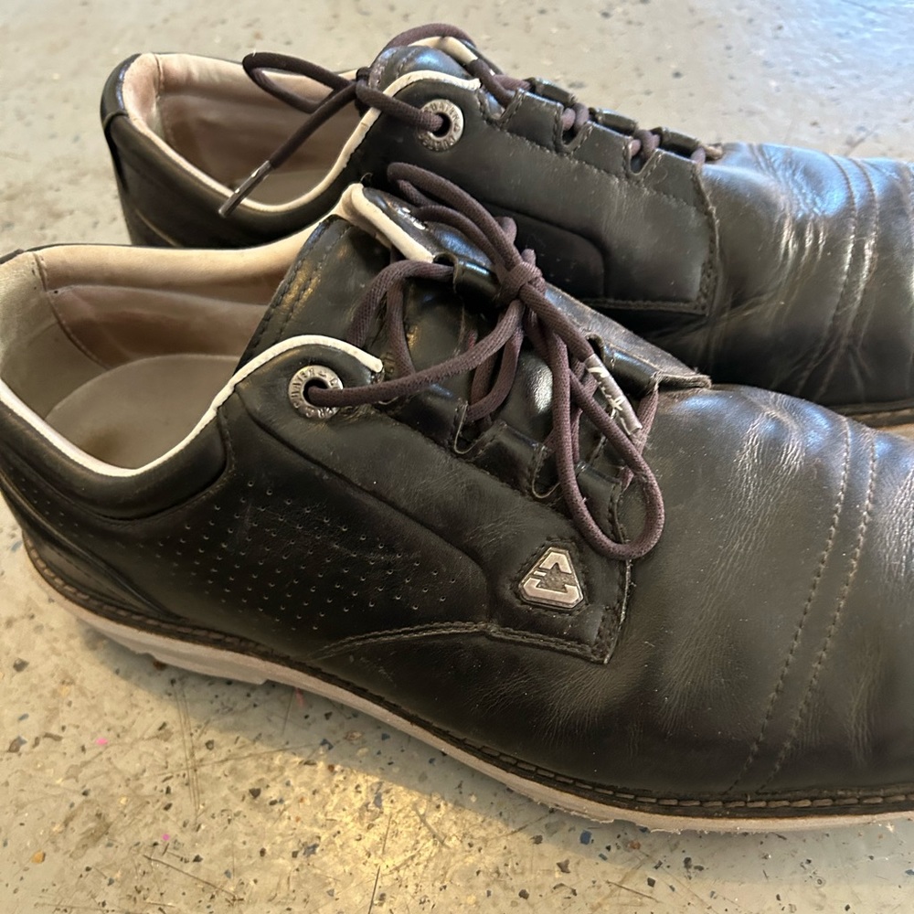 Cuater Golf Shoes 10.5 I’ve only worn a few times just need to be clean
